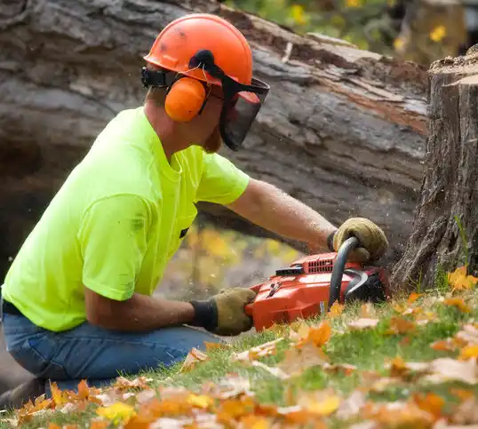 tree services Hickory Flat